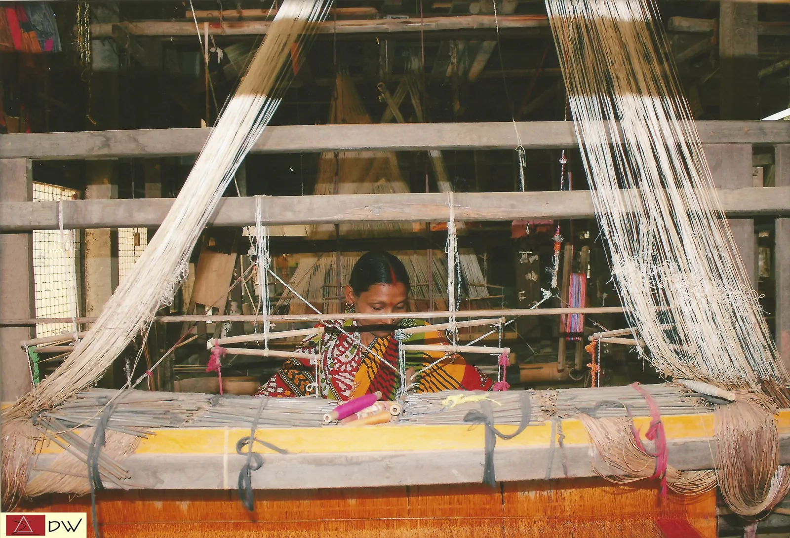 ফুলিয়া। ছবি সৌজন্য DW Studios